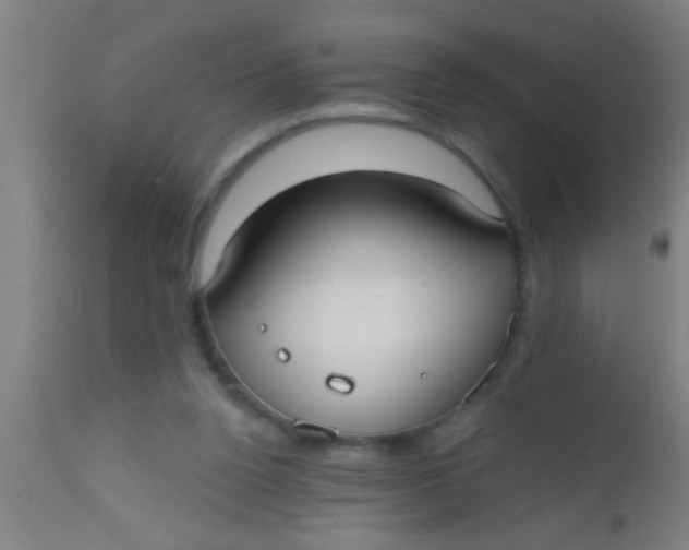 X0000112520160200909071342