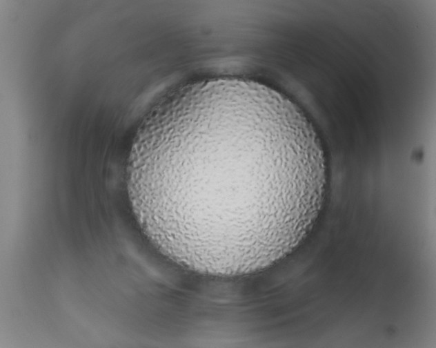 X0000112520161200909071342