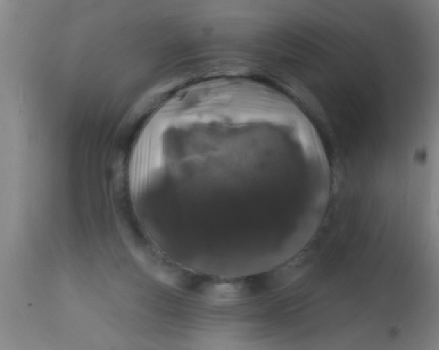 X0000112520163200909071342