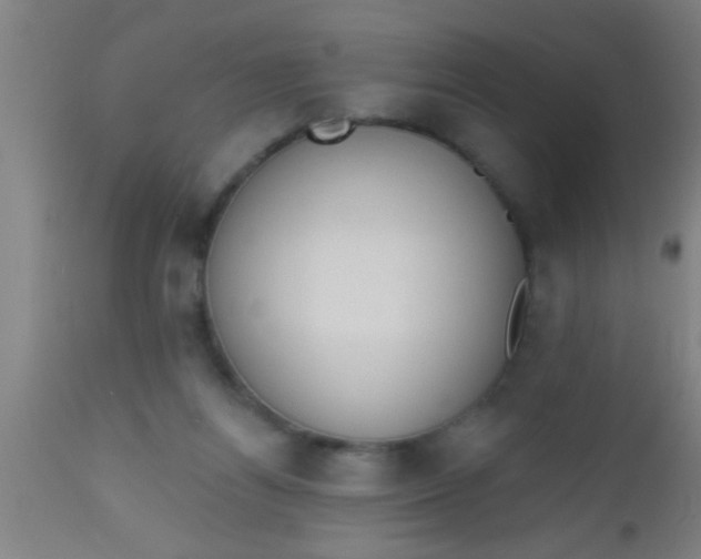 X0000112520164200909071342