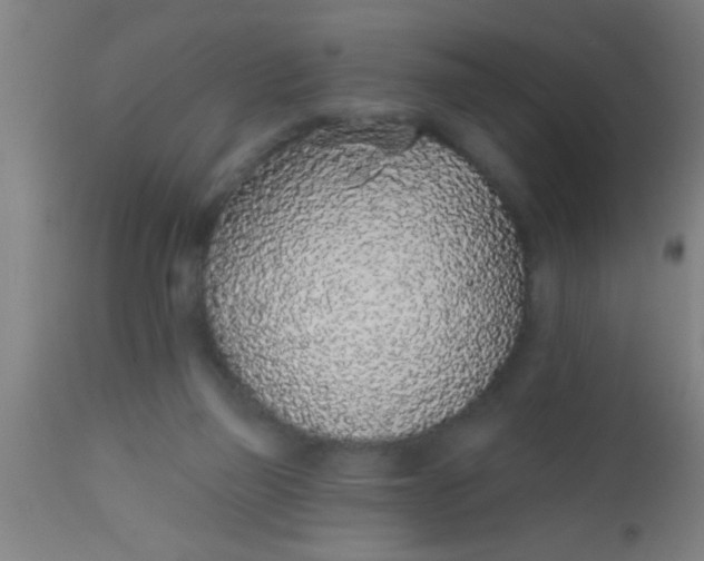 X0000112520165200909071342