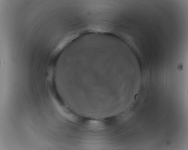 X0000112520167200909071343