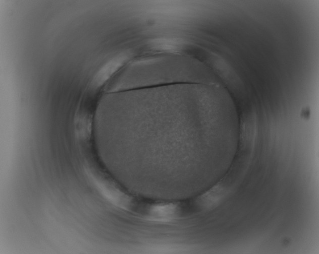 X0000112520168200909071343