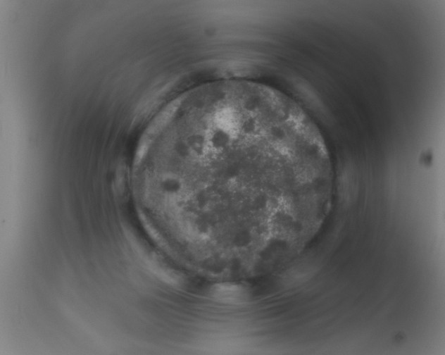 X0000112520169200909071343