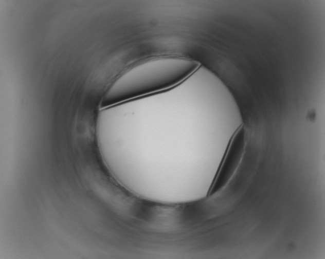 X0000112520170200909071343