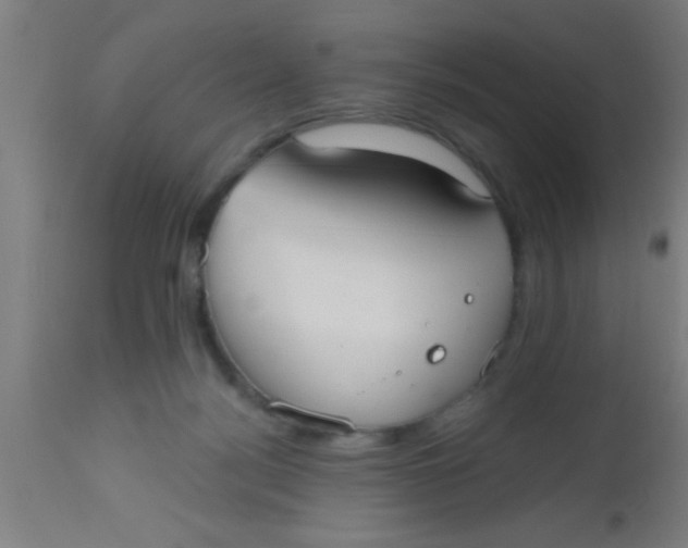X0000112520172200909071343