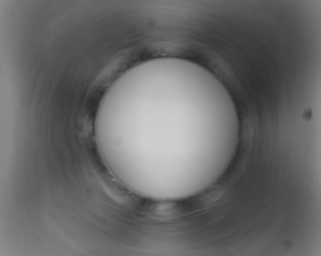 X0000112520173200909071343