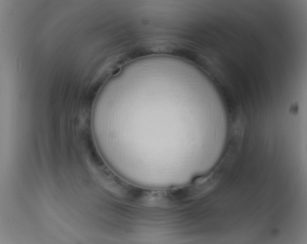 X0000112520175200909071343