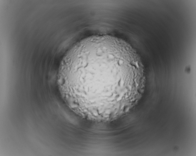 X0000112520177200909071343