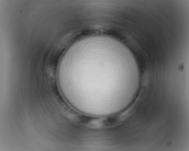 X0000112520178200909071343