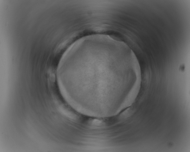 X0000112520180200909071343