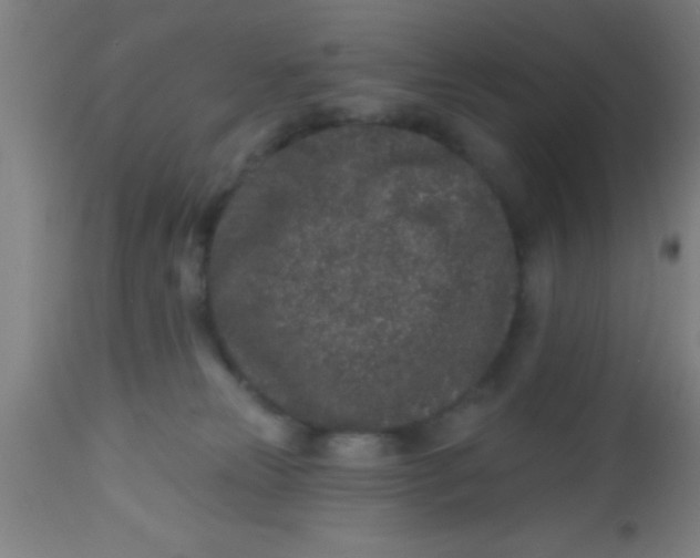 X0000112520181200909071343