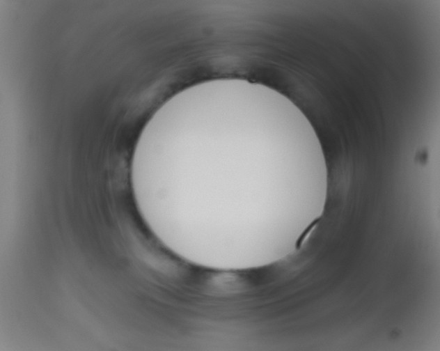 X0000112520183200909071343