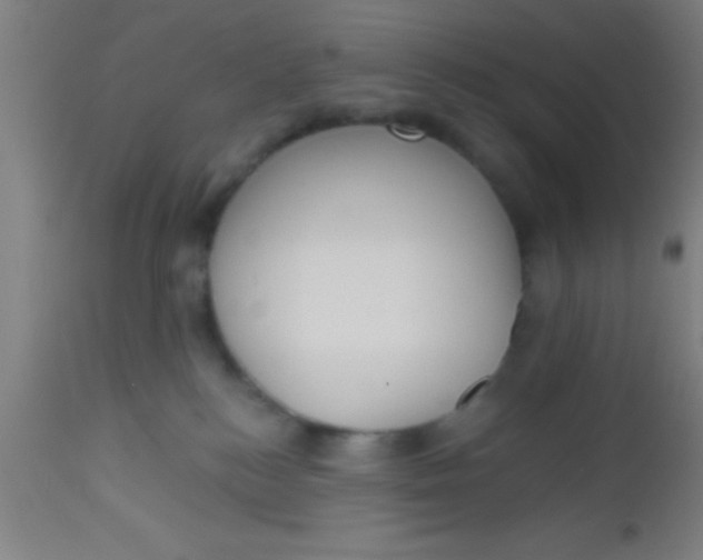 X0000112520184200909071343