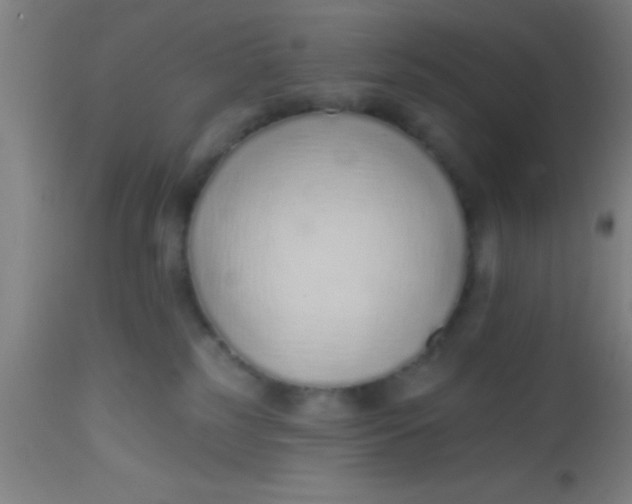 X0000112520185200909071343
