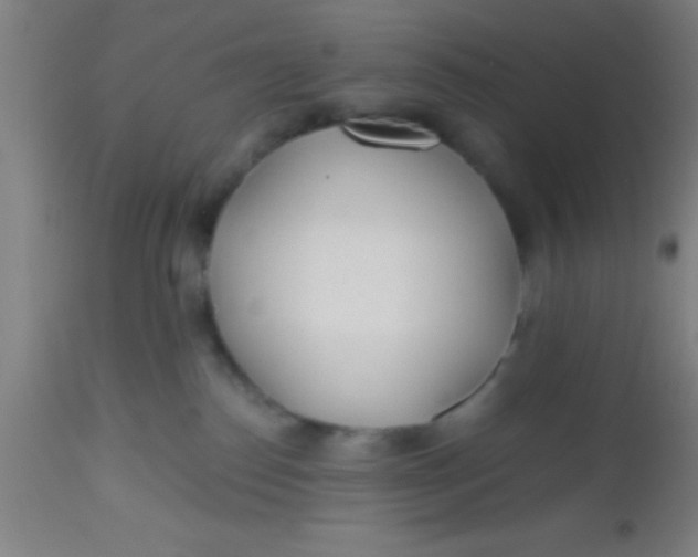 X0000112520186200909071343
