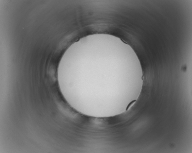 X0000112520187200909071343
