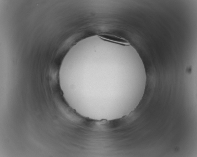 X0000112520188200909071343