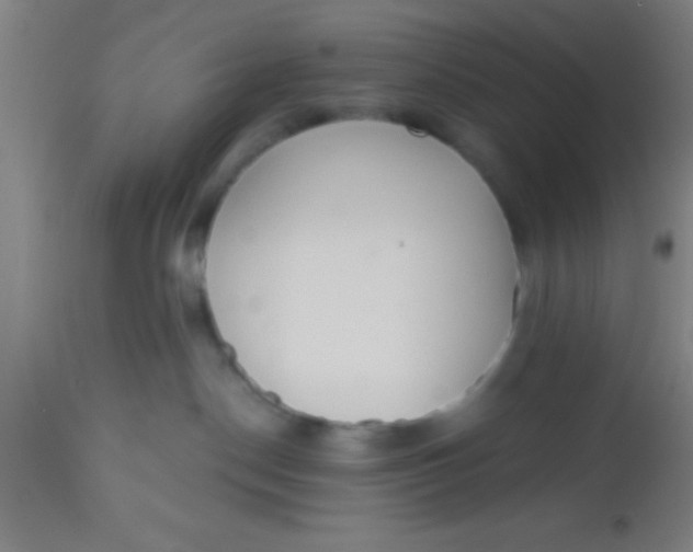 X0000112520190200909071343