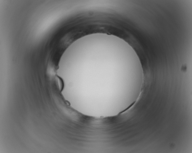 X0000112520191200909071343