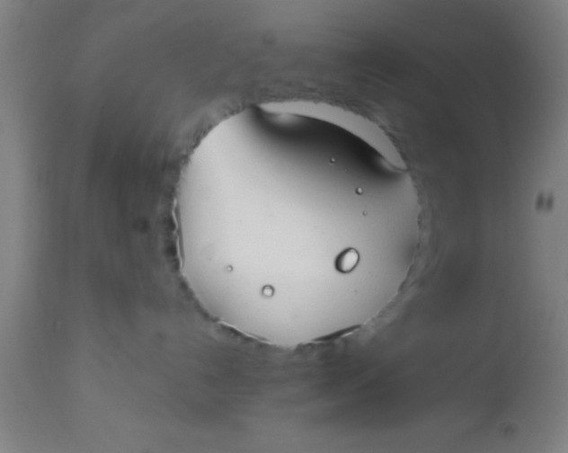 X0000112520192200909071343