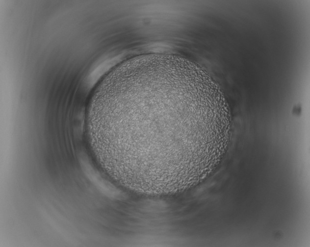 X0000112520194200909071342