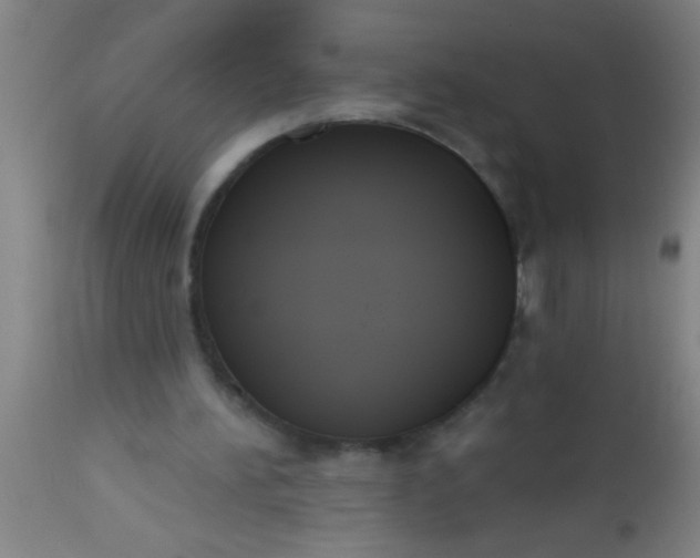 X0000112520196200909071342