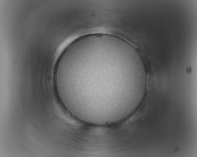 X0000112520200200909071342