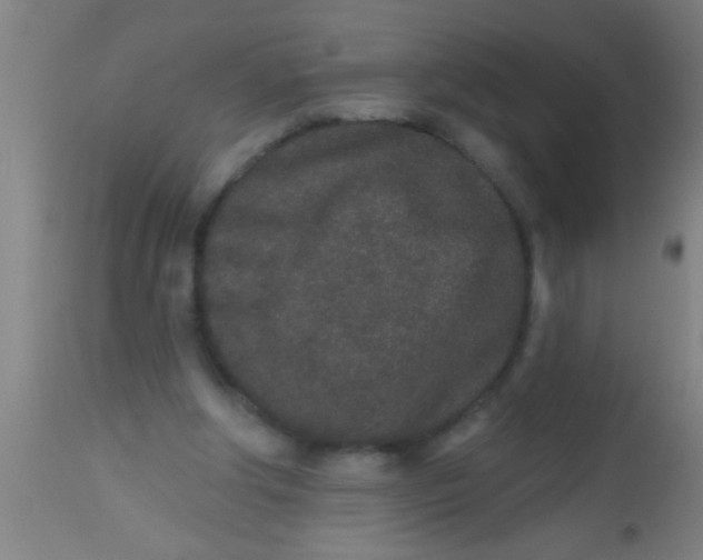 X0000112520202200909071342