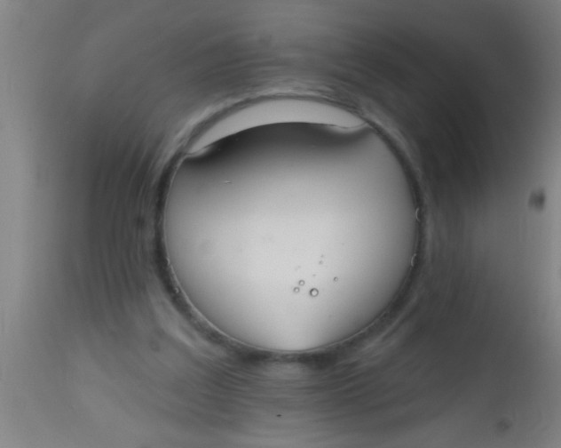 X0000112520203200909071342