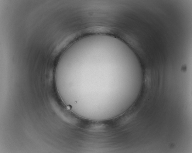 X0000112520206200909071342