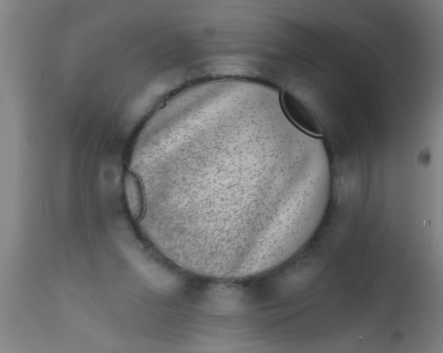 X0000112520207200909071342