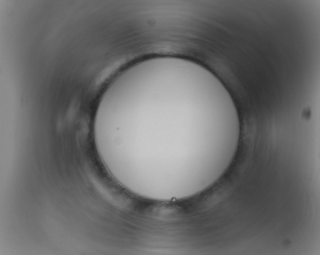 X0000112520208200909071342