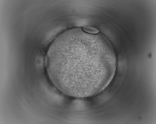 X0000112520211200909071342