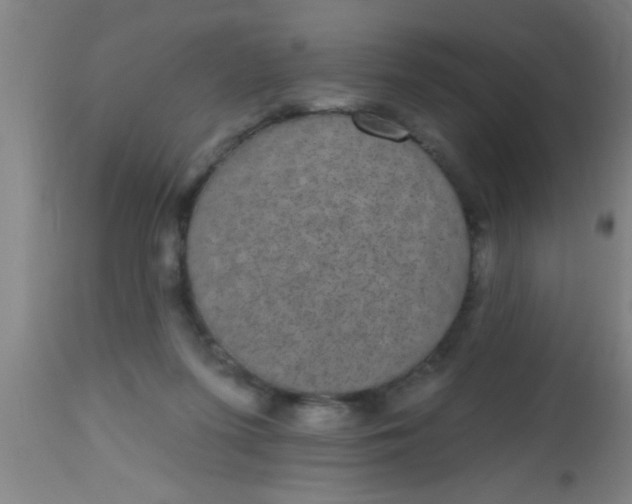 X0000112520215200909071342