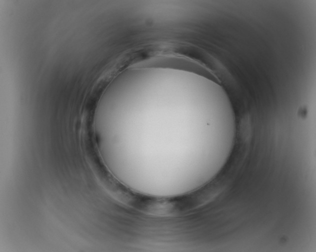 X0000112520217200909071342