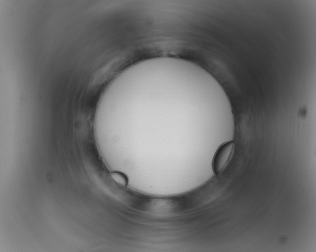 X0000112520218200909071342