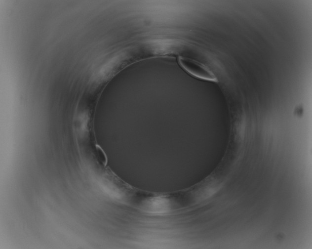 X0000112520219200909071342