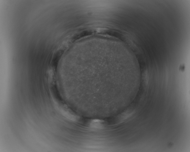 X0000112520222200909071342