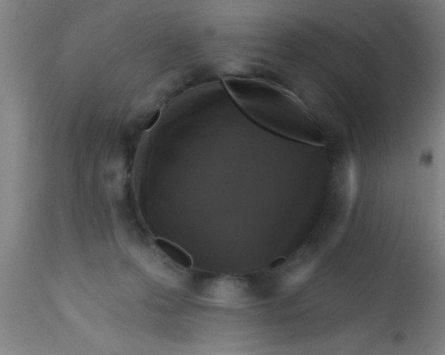 X0000112520223200909071342