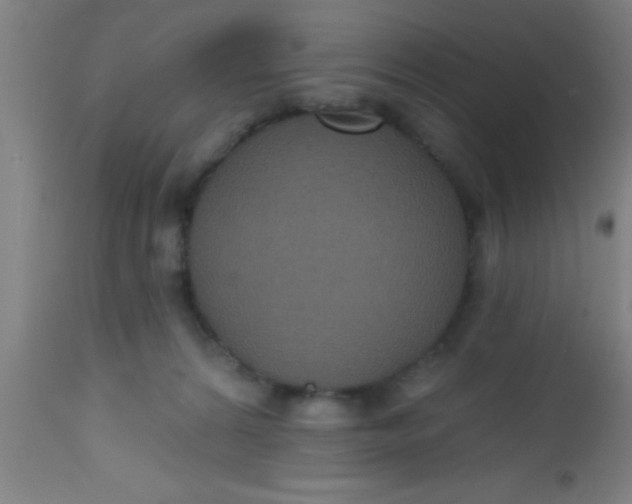 X0000112520224200909071342