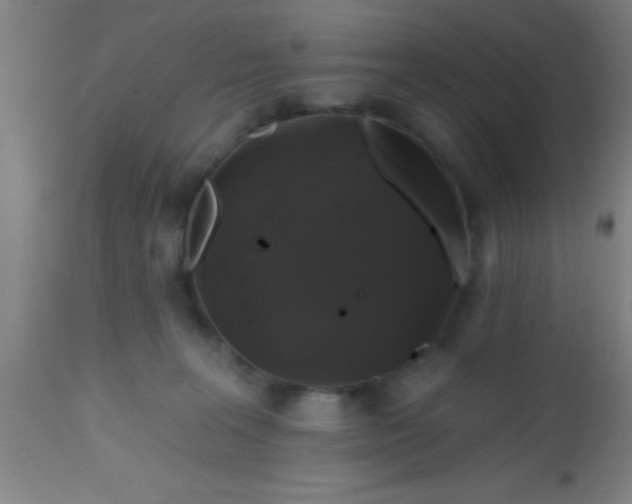 X0000112520227200909071342