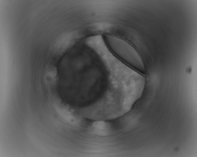 X0000112520231200909071342