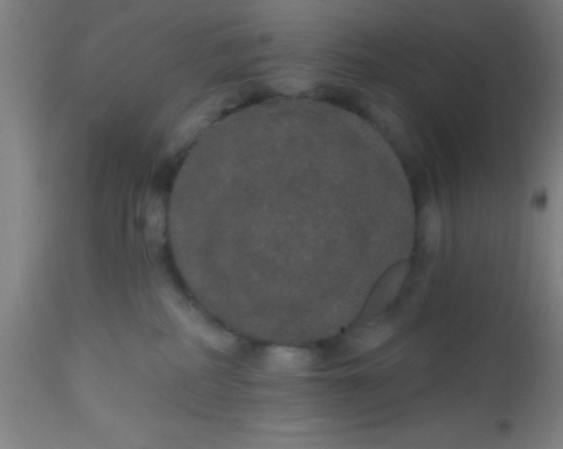 X0000112520234200909071342