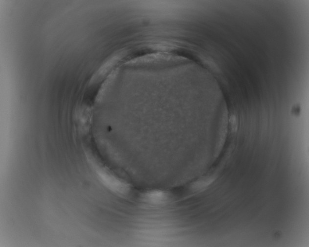 X0000112520237200909071342