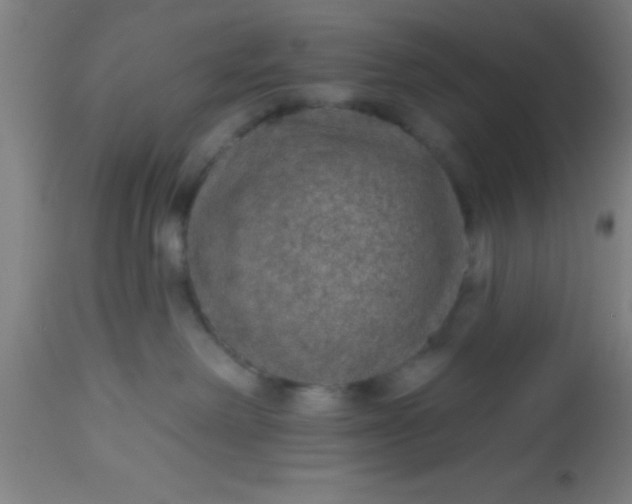 X0000112520238200909071341
