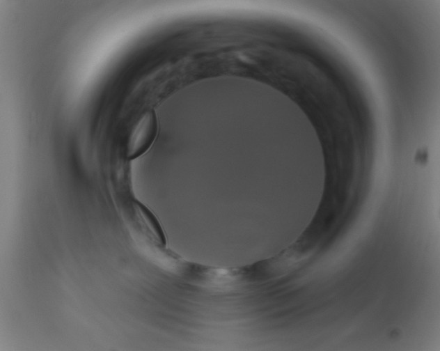 X0000112520239200909071341