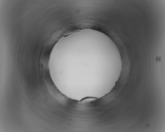 X0000112520240200909071341