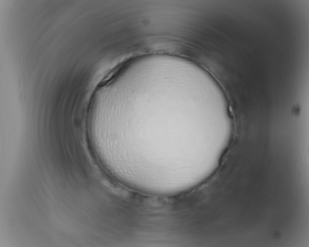 X0000112520241200909071341