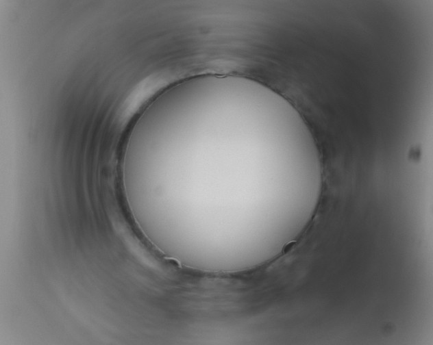 X0000112520242200909071341